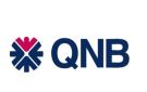 QNB يكشف أسباب صمود الجنيه المصري.. ماذا عن سعر الدولار؟