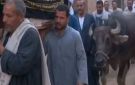 استغلال الموت لصناعة ترند.. الشيخ أحمد تركي يعلق على فيديو الجاموسة التي ودعت صاحبها - eg