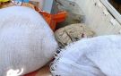 بعد فيديو شكوى دقيق مخبز بالقليوبية.. التموين تستبدل الكمية وتسحب عينة للتحليل