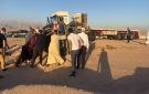 بالصور.. إصابة حكمدار جنوب سيناء ووفاة 2 آخرين - eg