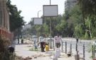 عوض: زراعة 220 شجرة بالمعادي بالتعاون مع اتحاد الشاغلين ومحبي الأشجار