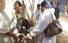 أسوان: فحص وعلاج 2657 رأس ماشية بقافلة بيطرية بالرديسية بحرى بإدفو