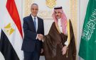 وزير الخارجية يبحث مع نظيره السعودي التطورات الإقليمية وجهود خفض التصعيد