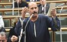 نائب يطالب بزيادة سعر توريد القمح إلى 3000 جنيه