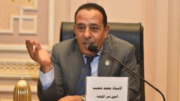 نائب الشيوخ: اللقاء الأخوي بين الرئيس السيسي وبن زايد يرسخ محور الاستقرار العربي