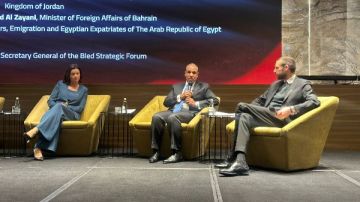 وزير الخارجية يشارك في حلقة نقاشية حول توسيع آفاق السلام بالشرق الأوسط