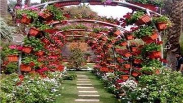 إقبال كبير على الحجز.. موعد انطلاق معرض زهور الربيع 2026 إقبال كبير على الحجز.. موعد انطلاق معرض زهور الربيع 2026