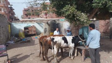 جامعة قناة السويس تطلق قافلة إصحاح بيئي شاملة بقرية أبو سلطان بفايد