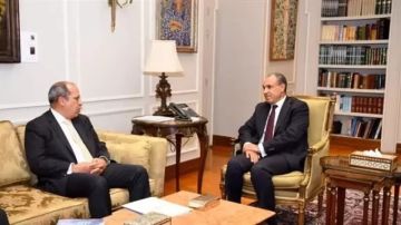 وزير الخارجية يستقبل رئيس الجامعة البريطانية في مصر وزير الخارجية يستقبل رئيس الجامعة البريطانية في مصر