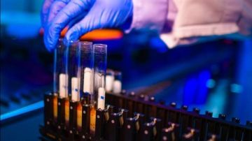 رائد زراعة الكبد في مصر: بنوك الأنسجة موجودة بالفعل وتخدم عدة جامعات ومستشفيات