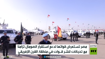 مصر تؤكد دعمها لوحدة الصومال