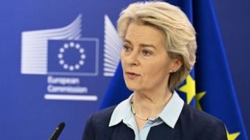 المفوضية الأوروبية: سنشارك في اجتماع مجلس السلام بواشنطن بصفة مراقب المفوضية الأوروبية: سنشارك في اجتماع مجلس السلام بواشنطن بصفة مراقب