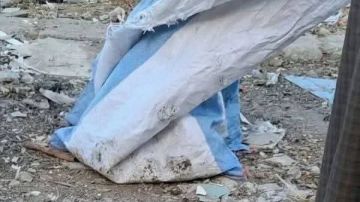 جهود أمنية مكثفة لكشف لغز العثور على جوال به عدد من الأجنة بالمنيا.. تفاصيل جهود أمنية مكثفة لكشف لغز العثور على جوال به عدد من الأجنة بالمنيا.. تفاصيل