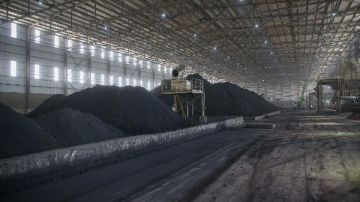 قطاع الأعمال: إيجيبت أنود تستعد لتصدير الشحنة الثانية من الفحم البترولي المكلسن