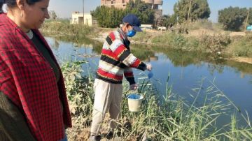 محافظ أسيوط: استمرار تنفيذ الحملة القومية لمكافحة القوارض بالقرى والنجوع