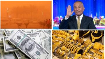 أخبار التوك شو أحمد موسى : اللي هيدخل مصر من غزة المصابين والمرضى .. شعبة المحمول: لا مبرر لرفع الأسعار والرقابة غائبة أخبار التوك شو أحمد موسى : اللي هيدخل مصر من غزة المصابين والمرضى .. شعبة المحمول: لا مبرر لرفع الأسعار والرقابة غائبة