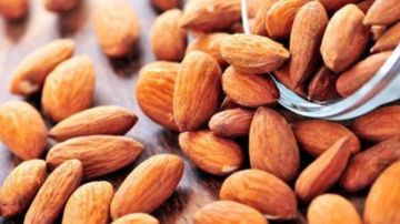 اللوز.. غذاء صحي قديم يدعم الدماغ والقلب والجسم تفاصيل