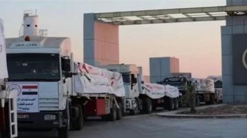 المنظمات الأهلية الفلسطينية: نقدر جهود مصر في فتح معبر رفح من الاتجاهين المنظمات الأهلية الفلسطينية: نقدر جهود مصر في فتح معبر رفح من الاتجاهين