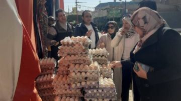 ضبط 250 كرتونة بيض فاسد في المنوفية