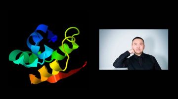 فريق بحثي يطور أداة D I TASSER لتوقع أشكال البروتينات المعقدة فريق بحثي يطور أداة D I TASSER لتوقع أشكال البروتينات المعقدة