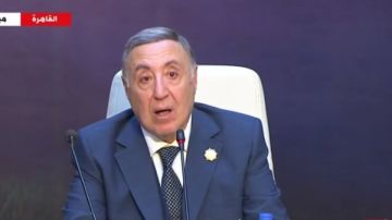 المحكمة الدستورية: نهتم بحماية خصوصية المتقاضين وضمان حقوقهم