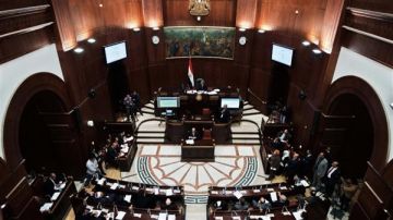  زراعة الشيوخ : تحديث قانون الزراعة ضرورة وطنية لتعزيز الأمن الغذائي ودعم الفلاح