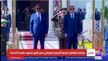 بحرس الشرف.. الرئيس السيسي يستقبل نظيره الصومالي حسن شيخ محمود بقصر الاتحادية