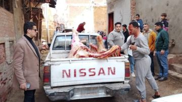 ضبط نصف طن لحوم غير صالحة للاستهلاك في المنوفية