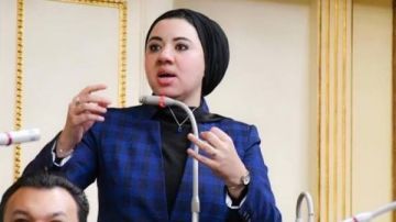 النائبة أميرة صابر تكشف: ضرورة إنشاء بنك وطني للأنسجة البشرية