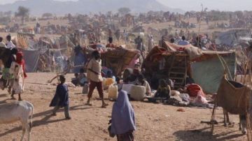 متحدث الخارجية: مصر تستخدم كل المسارات لدعم السودان وتسعى لهدنة إنسانية