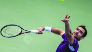 رقم قياسي للكرواتي سيليتش في بطولات التنس