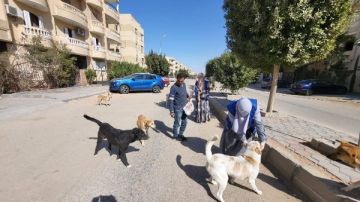 لمكافحة السعار.. الزراعة: تحصين 8,254 كلب حر وتعقيم 1,122 آخرين منذ يناير لمكافحة السعار.. الزراعة: تحصين 8,254 كلب حر وتعقيم 1,122 آخرين منذ يناير