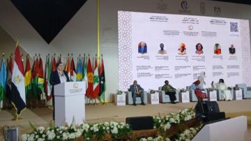 السنباطي تشارك في جلسة حوارية بعنوان حماية المرأة والفتاة من كافة أشكال العنف السنباطي تشارك في جلسة حوارية بعنوان حماية المرأة والفتاة من كافة أشكال العنف