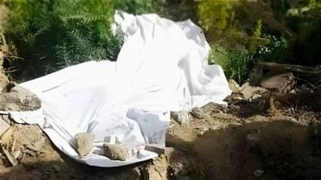 سرقة وقتل وتمثيل بالجثة.. تفاصيل مثيرة في واقعة سيدة الحقيبة بالإسكندرية عاجل