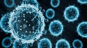 أستاذ اقتصاديات الدواء: فيروس إنفلونزا D موجود في المعامل ولا يشكل خطرا على الناس