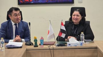 التضامن: بناء نموذج تعليم يابانيي في الحضانات من سن يوم إلى 4 سنوات التضامن: بناء نموذج تعليم يابانيي في الحضانات من سن يوم إلى 4 سنوات