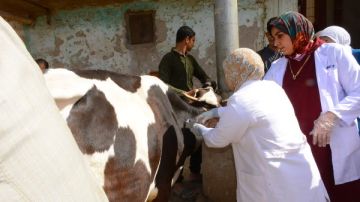 جامعة أسيوط تطلق قافلة تنموية شاملة لخدمة 2471 مواطنا بقرية العونة جامعة أسيوط تطلق قافلة تنموية شاملة لخدمة 2471 مواطنا بقرية العونة