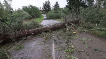 عاصفة شديدة تضرب نيوزيلندا.. تعطل رحلات جوية وانقطاع للكهرباء