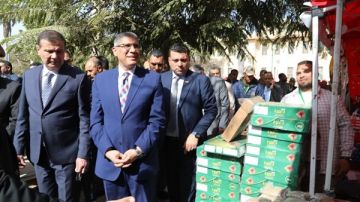 بإنتاج 2 مليون طن سنويا.. وزير الزراعة: مصر الأولى عالميا في إنتاج التمور