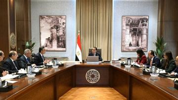 توجيهات حكومية بتخفيض أسعار الدواجن المجمدة المطروحة بالأسواق