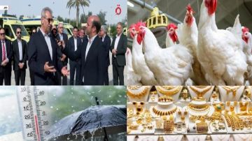 دول عربية وغربية مستعدة لدعم غزة ومفاجأة بشأن الدواجن والأرصاد والذهب والدولار.. أخبار التوك شو