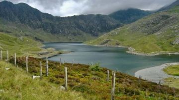 نتائج صادمة.. استبعاد الماشية من المراعي قد يؤدي لتفاقم الاحتباس الحراري نتائج صادمة.. استبعاد الماشية من المراعي قد يؤدي لتفاقم الاحتباس الحراري