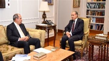 وزير الخارجية يبحث مع رئيس الجامعة البريطانية تعزيز التعاون الأكاديمي والتنموي