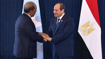 الرئيس السيسي يستقبل نظيره الصومالي لبحث تعزيز التعاون والتنسيق حول القضايا الإقليمية والدولية