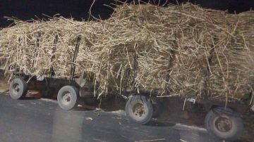 تحرير مخالفات لمقطورات قصب متوقفة بطريق نقادة الزراعي بقنا