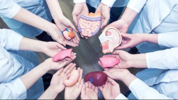 خالد منتصر : التبرع بالأعضاء والأنسجة طوق نجاة للمصريين خالد منتصر : التبرع بالأعضاء والأنسجة طوق نجاة للمصريين