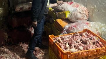 ضبط 26 طن مصنعات ومقطعات لحوم وهياكل دواجن فاسدة في الجيزة