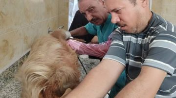 افتتاح العيادات البيطرية بجامعة الإسكندرية لتعزيز دورها في خدمة المجتمع