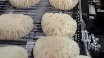 تحرير 7 محاضر تموينية ضد المخابز المخالفة ببيلا في كفر الشيخ