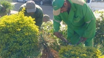 مساعد وزير التنمية المحلية يتحدث عن تفاصيل مبادرة 100 مليون شجرة مساعد وزير التنمية المحلية يتحدث عن تفاصيل مبادرة 100 مليون شجرة